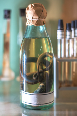 Adder snake with liquid formaldehyde in bottle as sample or specimen in biological scientific laboratory, close upの写真素材