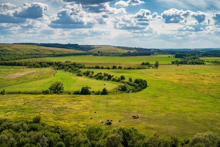 Beautiful summer nature landscape with green fields and blue sky with clouds, copy space.の写真素材