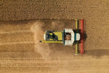 Harvester machine in yellow grain field, aerial top view from drone