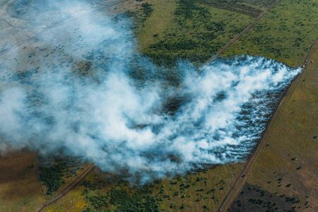Wildfire in green fields from hot weather, aerial view, natural disaster accident, burning forest and huge clouds of smoke.の写真素材