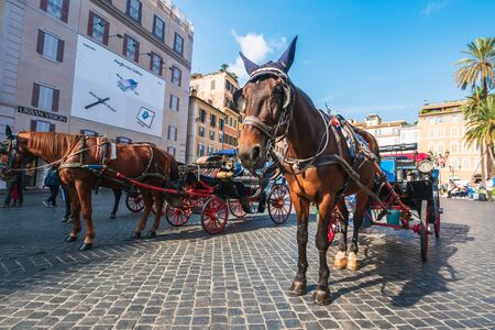 Rome, Italy - Circa October 2019: Horse carriage waits for tourists near Italian Steps in historical center of Rome.のeditorial素材