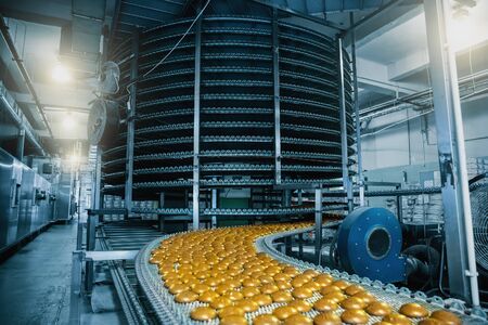 Automatic conveyor belt with cakes, baking process in confectionery factory. Food industry, tonedの写真素材