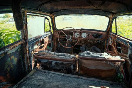 Inside interior of Old retro rusty abandoned car overgrown with grass, close up.の写真素材