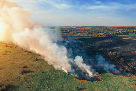 Dry grass burns, natural disaster. Forest fire aerial view. Big clouds of smoke from burning nature...