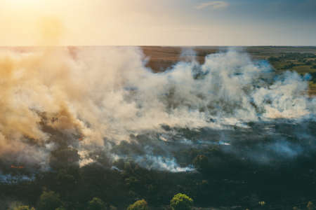 Smoke and flame above nature forest fire in autumn after dry season, danger from climate change.