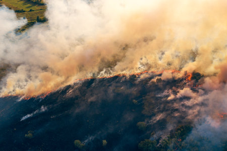 Fire in forest, burning trees and grass with smoke, aerial top view from drone. Natural fire or wildfire.の写真素材