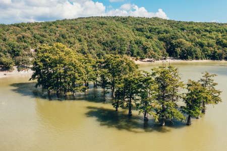Cypress Lake Sukko aerial view with green trees standing in lake water in Anapa mountains, Russia.の写真素材
