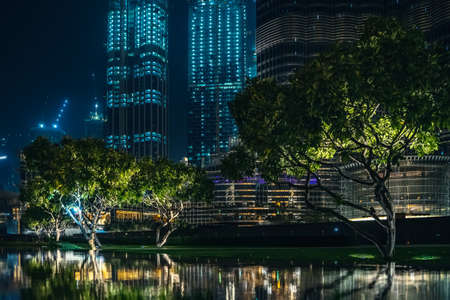 Trees with reflection in water, high buildings at background in Dubai downtown at night.の写真素材