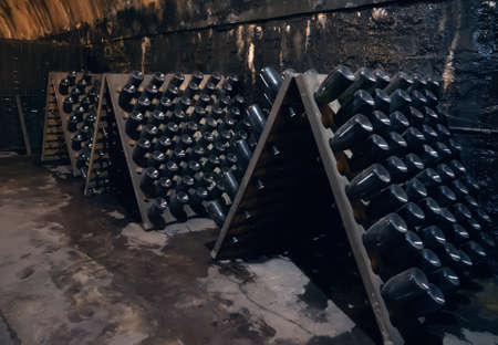 Old wine bottles covered with dust in winecellar close up.の写真素材