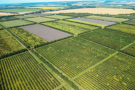 Agriculture fields in countryside in summer day aerial view. Harvest time.