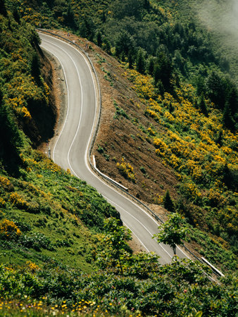 Winding mountain road in Gomismta, Georgia, surrounded by vibrant yellow wildflowers and lush greenery, offering a scenic route through the hills.の写真素材