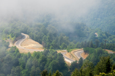 Winding mountain road through lush green forest partially covered in mist. Scenic view of curving highway amidst dense foliage, mysterious atmosphere. Perfect for travel and adventure themes.の写真素材