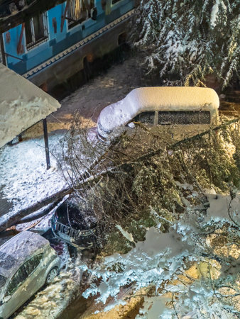 Snowy Urban Night Car Accident. Vehicle covered in snow with fallen tree on top in city street at night. Winter storm aftermath with buildings, icy roads, and dramatic lighting.の写真素材