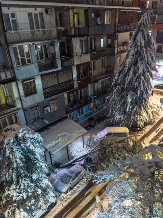 Aftermath of snowstorm with fallen tree on a car. Winter Weather Disasters. Urban snowy city street, buildings, and icy conditions.の写真素材