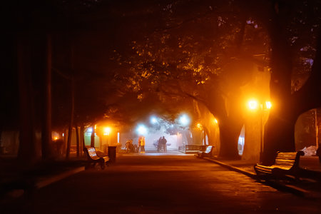 Mysterious park at night covered in dense fog, illuminated by warm glowing streetlights. Dark trees and empty benches create an atmospheric and cinematic scene with silhouettes of people in theの写真素材