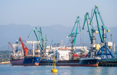 Cargo ships docked at busy industrial port with large cranes.の写真素材