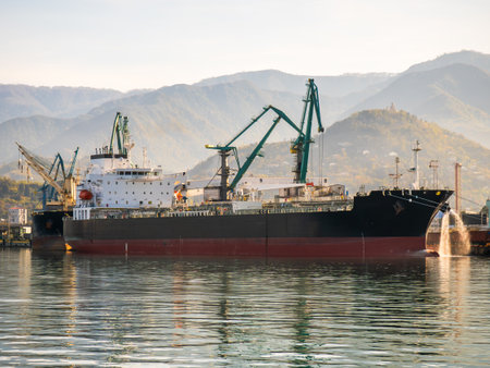 Cargo ship in industrial sea port with loading cranes. Maritime logistics, global trade, shipping infrastructure, import export, international freight transport.の写真素材
