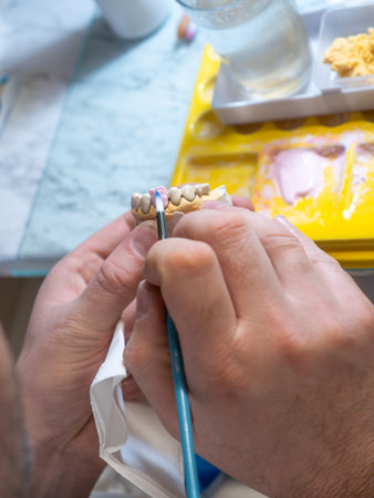 Ceramic tooth crown being painted by dental technician with pink gum layer on dental model. Manual restoration process and craftsmanship in prosthetics lab.の写真素材
