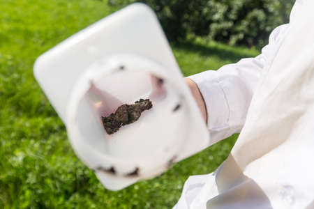 soil samples in a white plastic jar