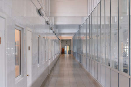 factory for the production of milk and cheese conveyorの写真素材