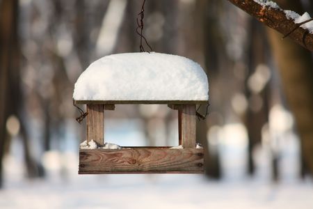 Feeder for a birds in a winter parkの写真素材