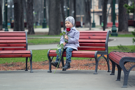 Little romantic boy with rose  waiting in the parkの写真素材
