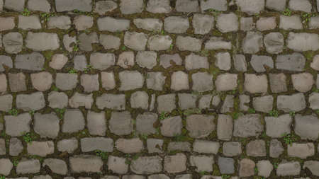 cobblestone, old stone tiles path road with green moss on the seamsの写真素材