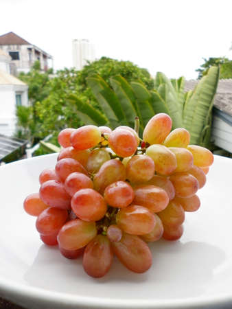 thai fruit - fresh grape in white dish on nature backgroundの写真素材