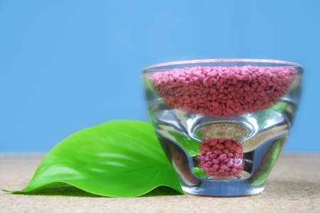 a green leaf with pink stones - wellness - spaの写真素材