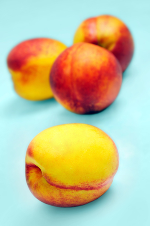 Group of nectarine on blue background の写真素材