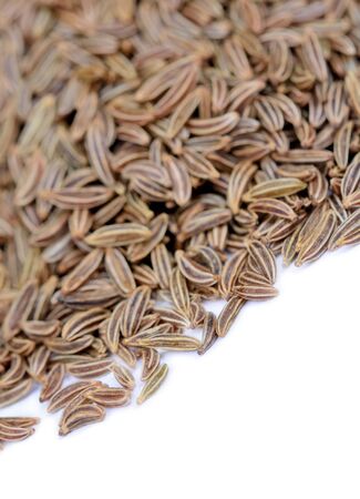 Caraway on white background closeupの写真素材
