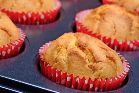 Group of muffins in a tray close-up