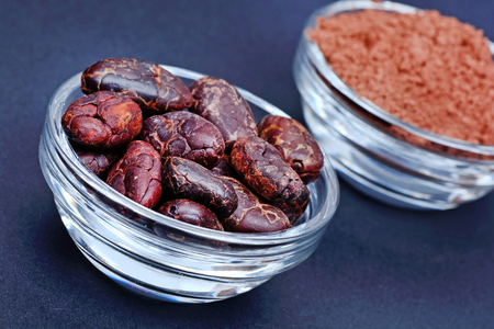 Cacao beans and powder in a transparent bowls on blue backgroundの写真素材
