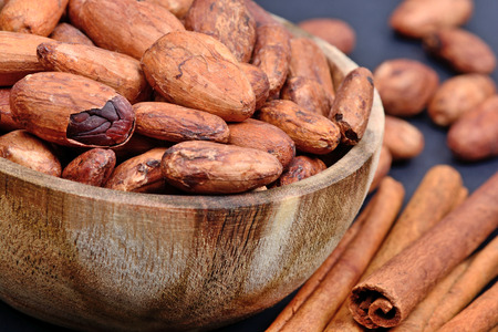 Cocoa beans in a bowl with cinnamon sticks on blue background close-upの写真素材