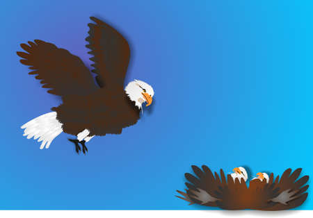 Eagle soaring above, looking for prey  to feed the babies ...のイラスト素材