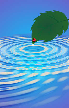 After the rain as fallen a single ladybug watches, as, a water droplet slowly drips off the leaf...のイラスト素材