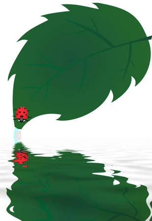 After the rain as fallen a single ladybug watches, as, a water droplet slowly drips off the leaf...の写真素材