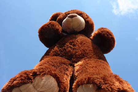 Teddy bear standing up and looking down at you....  Wanting a hug..の写真素材