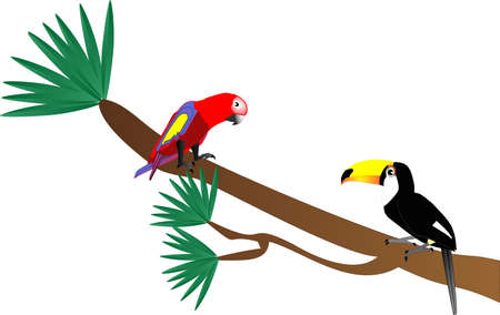 Tuscan and Parrot sitting on a tree limb illustrationのイラスト素材