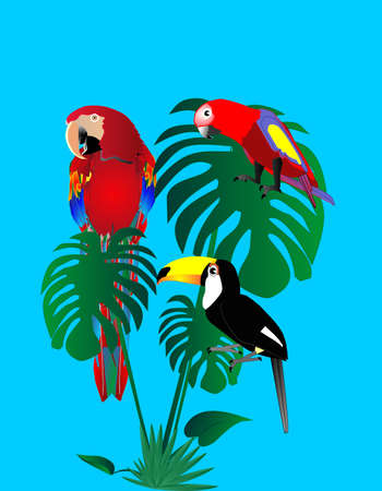 2 parrots of different ages and a tuscan sitting on a tropical tree leaf...のイラスト素材