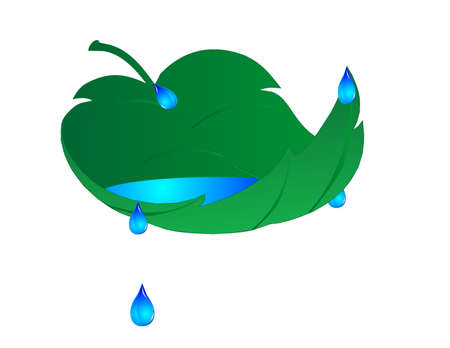 a single leaf, with water in it, and droplets flowing off of it, over a white background.のイラスト素材