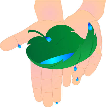 Childs hands holding a leaf catching the most valuable non renewable resourse..waterのイラスト素材