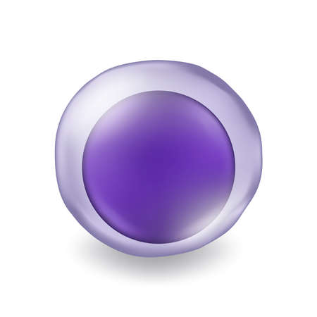Lymphocyte. Type of white blood cell. Medical education.のイラスト素材