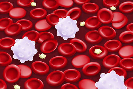 Blood cells. Red blood cells, Platelets and White blood cells.の写真素材