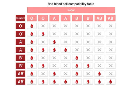 Red blood cell compatibility table. Blood donation. Donor and recipient.のイラスト素材
