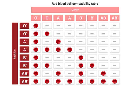 Compatibility of blood types. Blood donation. Donor and recipient.のイラスト素材