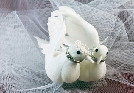Love Birds on Tulle with wedding rings representing bride and groom.の写真素材