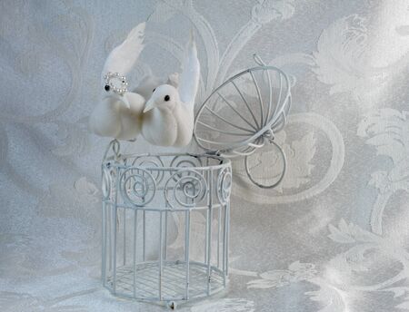 Doves Perched on an open White cage with white brocade textile backdrop.の写真素材