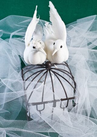 Lovebirds perched on a cage with tulle and green textile with wedding bands inside the cageの写真素材