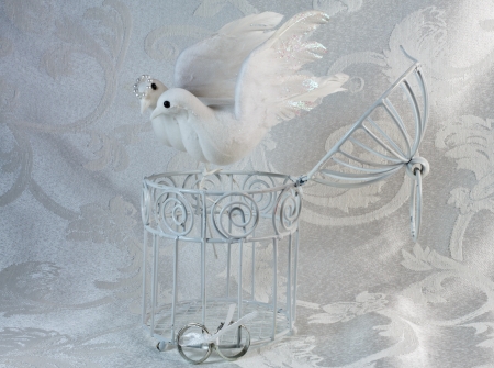Doves resting on an open white painted cage with wedding rings on a brocade textileの写真素材